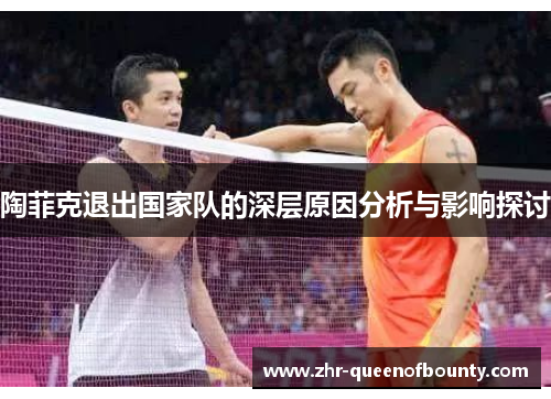 陶菲克退出国家队的深层原因分析与影响探讨