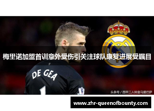 梅里诺加盟首训意外受伤引关注球队康复进展受瞩目